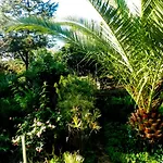 Casa Palmeiras Aljezur