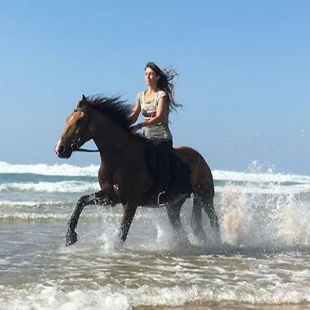 Casa Palmeiras Aljezur