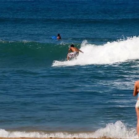 Casa Palmeiras 3* 阿尔热祖尔