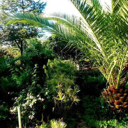 Casa Palmeiras Aljezur