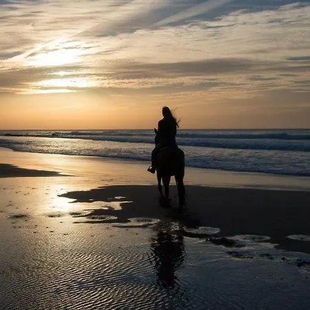Casa Palmeiras Pensión