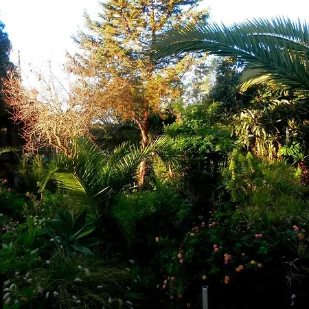 Pensión Casa Palmeiras Aljezur