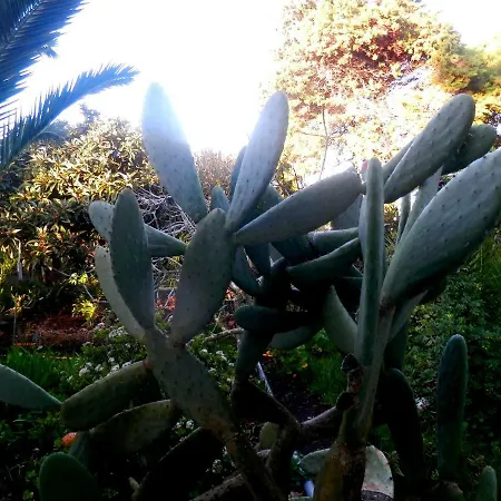 Casa Palmeiras Pensión Aljezur